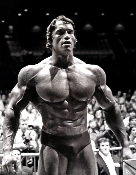 high quality picture of arnold schwarzenegger
